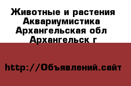 Животные и растения Аквариумистика. Архангельская обл.,Архангельск г.